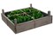 Allstate Bay Leaf Artificial Wreath in Wooden Frame Box - 14" - Green